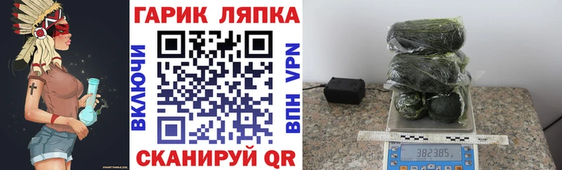купить закладку Княгинино Гашиш Изолятор