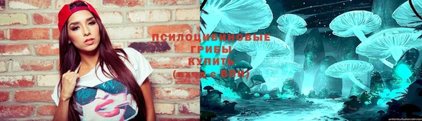 амф Абинск