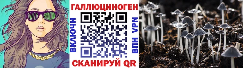 купить закладку  Княгинино  Псилоцибиновые грибы Cubensis 